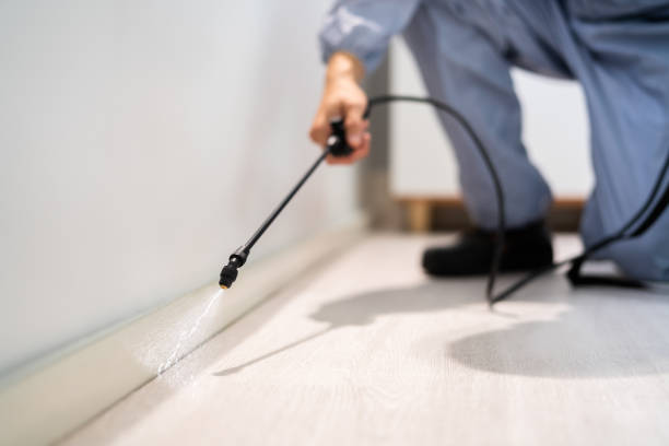 Licensed Pest Control service in Beach City, TX - Show Me Pest Control