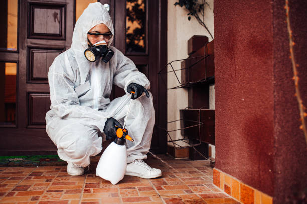 Attic and Crawl Space Rodent Treatment in Beach City